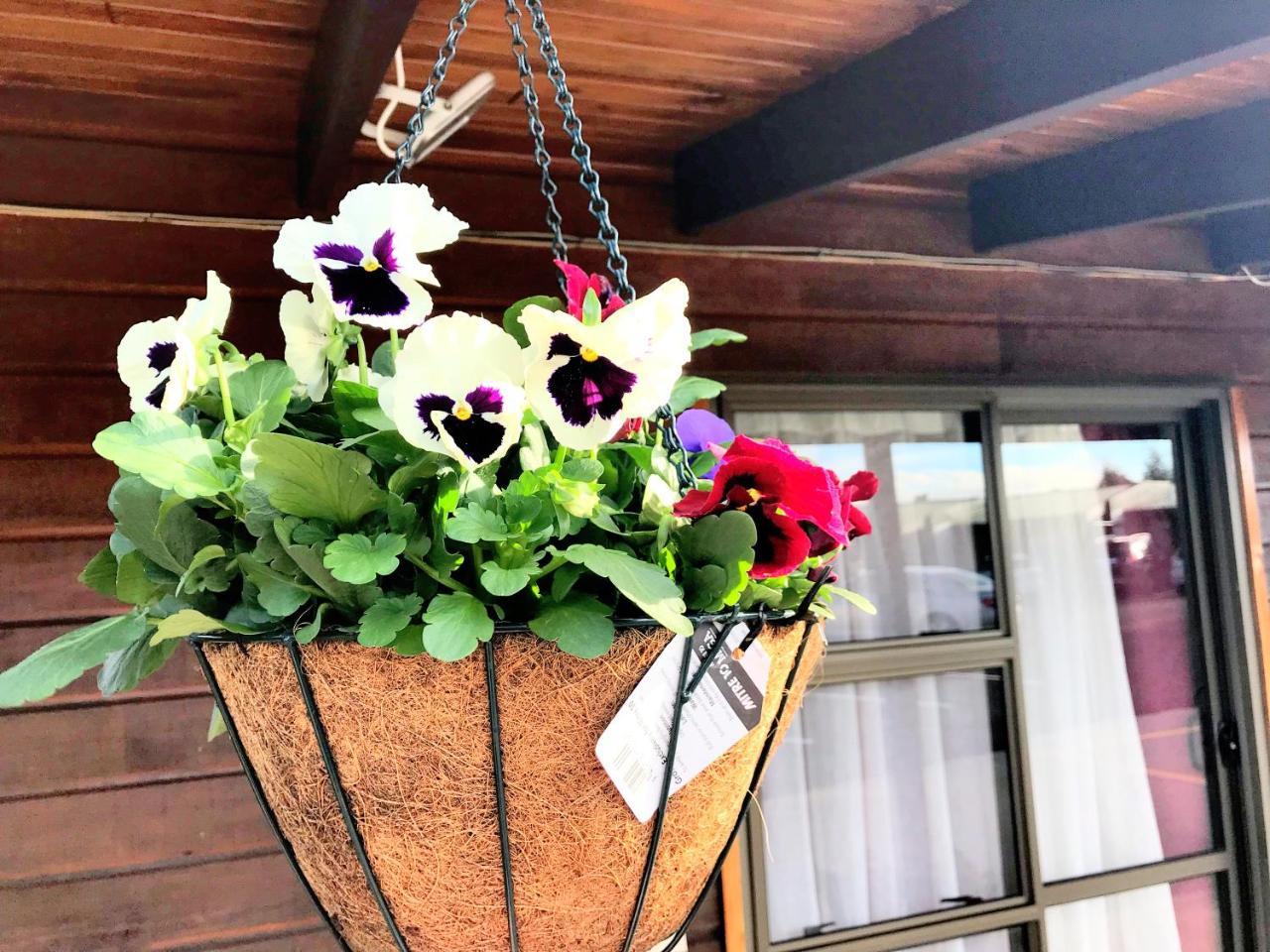 Grange Motel Auckland Dış mekan fotoğraf